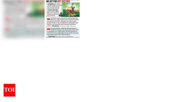 नवीन जीएसटी लाथ मारत असताना, ग्राहकांच्या डोळ्याच्या किंमतीत कपात होते, उद्योगातील खेळाडू विक्रीवर पैज लावतात