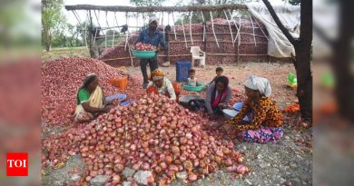 जिल्ह्यातील कांदा वाढणार्‍या बेल्टमध्ये साठवलेल्या उत्पादनाच्या अर्ध्या पाऊस, शेतकर्‍यांना मोठ्या प्रमाणात नुकसान झाले आहे.