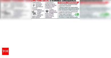 महा शेतकरी वन्य प्राण्यांपासून 40,000 सीआर पर्यंत गमावतात, केवळ 1% आराम मिळतात: अभ्यास