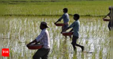 Pune पूर: शेतकऱ्यांच्या मोबदल्यात दिरंगाई झाल्याची कबुली कृषीमंत्री दत्ता भरणे; विरोधी निषेध