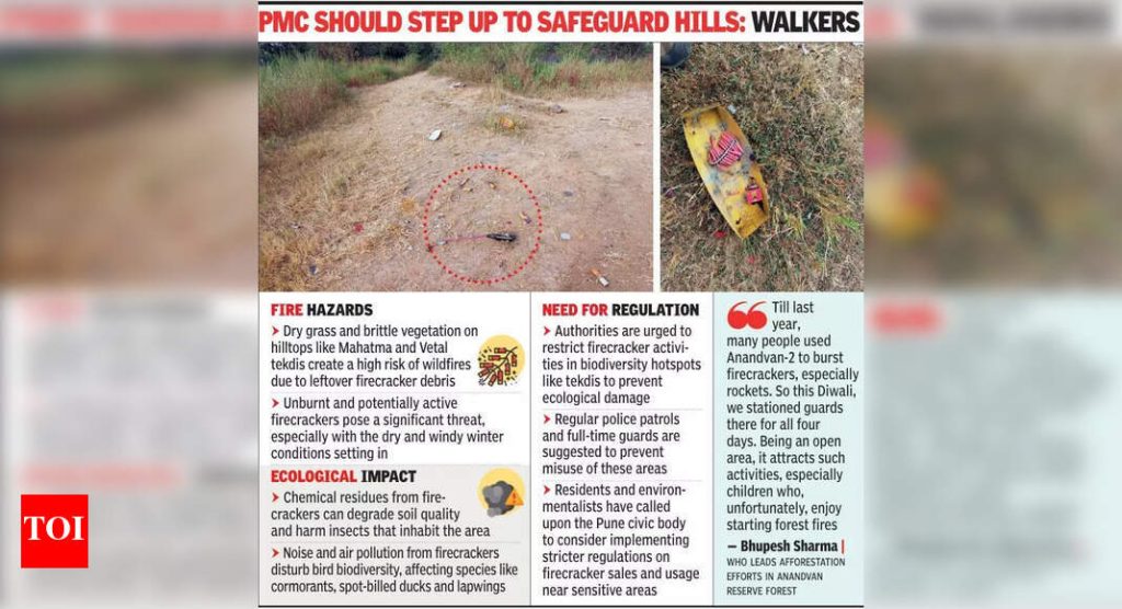 दिवाळीनंतर डोंगरमाथ्यावर फटाक्यांच्या ढिगाऱ्यांमुळे आग आणि पर्यावरणीय चिंता वाढतात