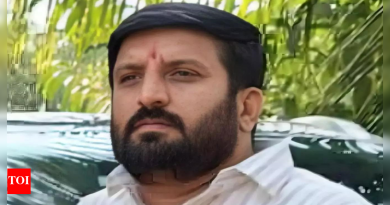 ब्रिटीश उच्चायुक्तालयाने गुंड नीलेश घायवालच्या लंडनमध्ये उपस्थितीची पुष्टी केली; पुणे पोलिसांची हद्दपारीची मागणी | पुणे बातम्या