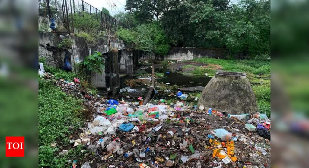 उघड्यावर कचरा टाकण्याविरोधात पीएमसीच्या निष्क्रियतेमुळे दुर्गंधी पसरते