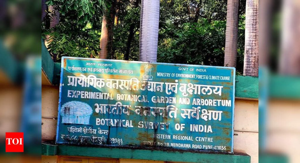 महिनाभरात पुण्यातील दुसऱ्या मालमत्ता प्रकरणावरून विरोधकांनी महायुती सरकारवर निशाणा साधला | पुणे बातम्या