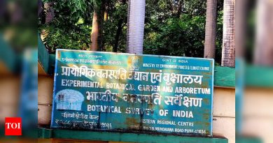 महिनाभरात पुण्यातील दुसऱ्या मालमत्ता प्रकरणावरून विरोधकांनी महायुती सरकारवर निशाणा साधला | पुणे बातम्या