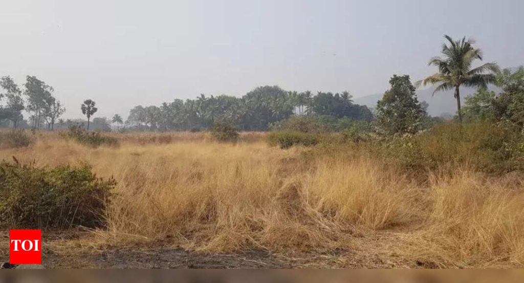 मुंढवा जमीन व्यवहाराच्या विविध पैलूंची चौकशी करण्यासाठी २ पॅनेल