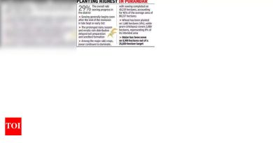 विलंबित पावसामुळे पुणे जिल्ह्यात रब्बीच्या पेरणीला वेग आला आहे