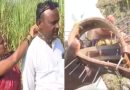 Pune: पिंपरखेड ग्रामस्थांनी बिबट्याच्या हल्ल्यापासून बचाव करण्यासाठी लोखंडी अणकुचीदार कॉलर लावले; दैनंदिन जीवन विस्कळीत