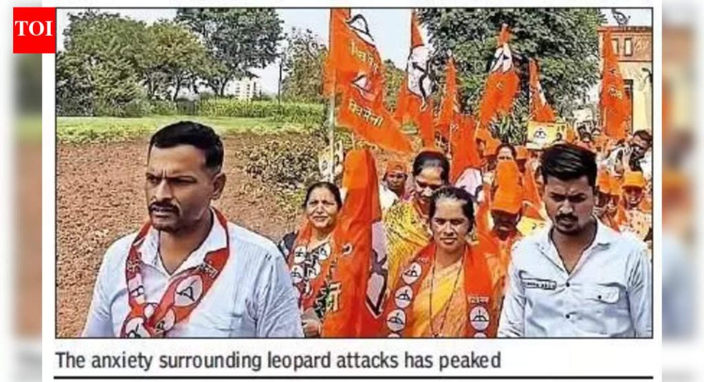 बिबट्याच्या भीतीने 3 भागात मोहीम अंधारली