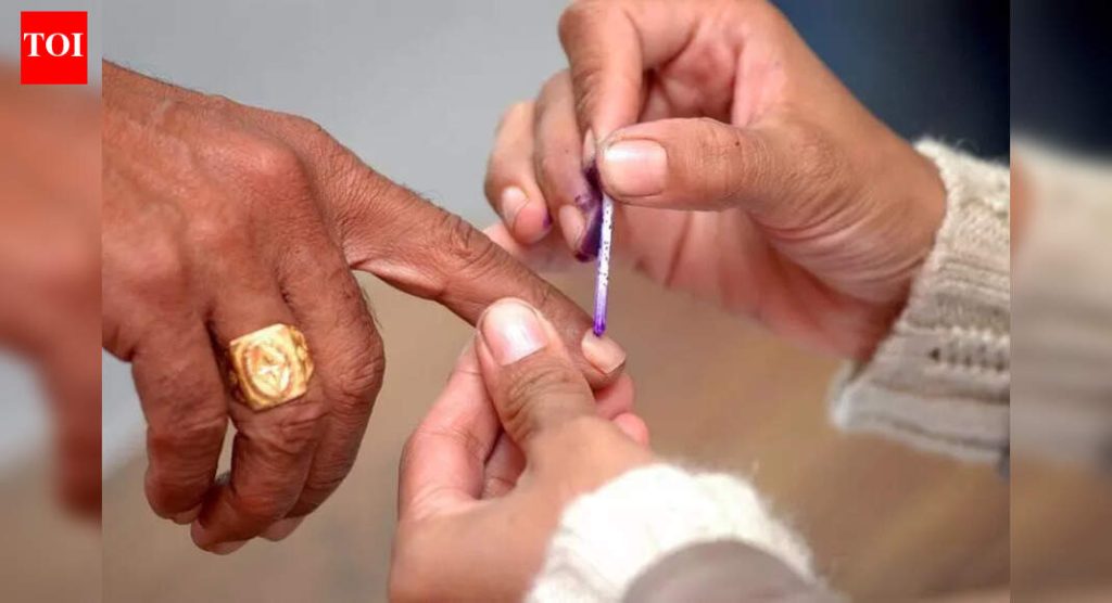 SEC स्थानिक स्वराज्य संस्थांमध्ये निवडणूक थांबवते जिथे न्यायालयाच्या निकालाशिवाय चिन्हांचे वाटप केले जाते