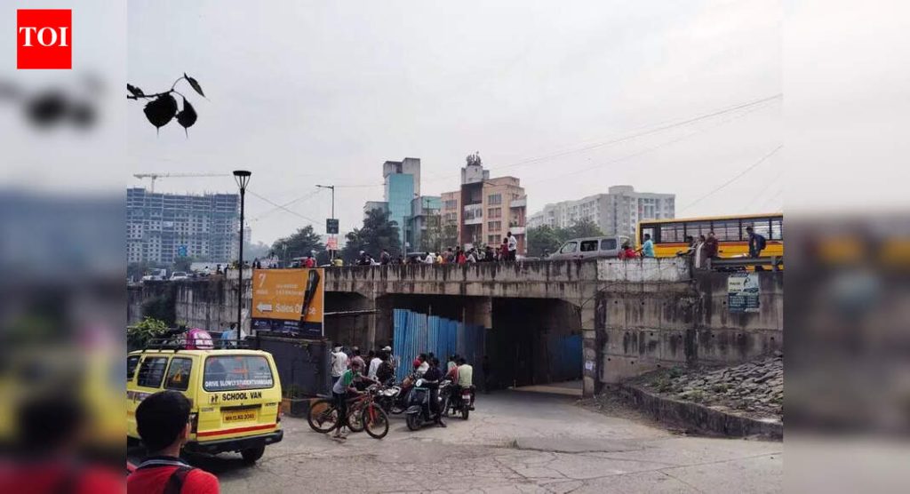 बावधनमधील रामनदीजवळ ताज्या बिबट्या दिसल्याच्या अहवालाची चौकशी पथकांनी केल्याने गर्दीमुळे समस्या निर्माण झाली