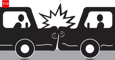 भोसरी येथे अपघातात महिला जखमी | पुणे बातम्या