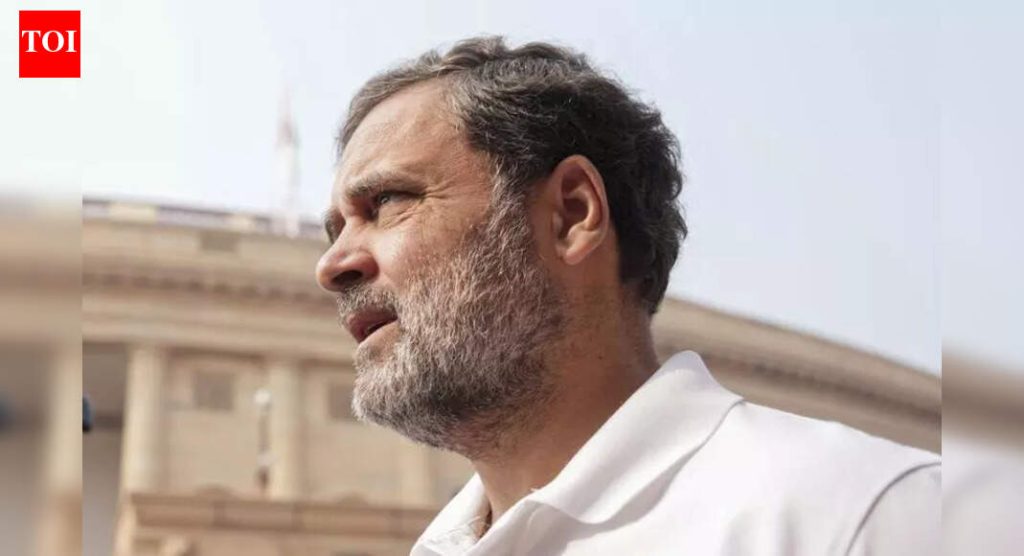 मानहानीचा खटला: भाषणाची मूळ लिंक देण्यासाठी यूएस व्हिडिओ शेअरिंग प्लॅटफॉर्मच्या याचिकेवर पुणे न्यायालयाने राहुल गांधींचा प्रतिसाद मागितला