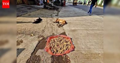 महाराष्ट्रात पुढील आठवड्याच्या सुरुवातीला थंडीची दुसरी थंडी पडण्याची शक्यता, किमान तापमान २-३ अंश सेल्सिअसने घसरेल