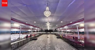 विमान प्रवासाच्या योजनांमध्ये वेळेवर बदल केल्यास पुण्याच्या सवाई महोत्सवावर परिणाम होणार नाही, असे आयोजकांचे म्हणणे आहे.