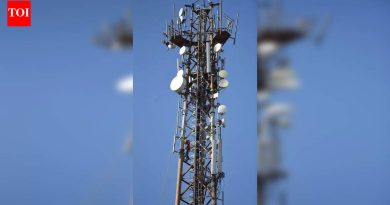 पिंपरी चिंचवडमधील 387 मोबाईल टॉवर बेकायदेशीर, ते काढण्यासाठी अधिकाऱ्यांकडे कायदेशीर तरतूद नाही : सरकार