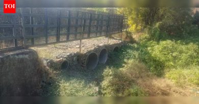 इंद्रायणी नदीपात्रातील अतिक्रमणे हटवणे, 30L दंडाविरोधात पुनर्विलोकन याचिका: NGT