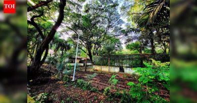 मुंढवा जमीन व्यवहारप्रकरणी तेजवानीची न्यायालयीन कोठडीत रवानगी