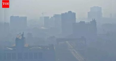 राज्यभरात मोसमातील सर्वात थंड सकाळ; पाषाण ७.७°से