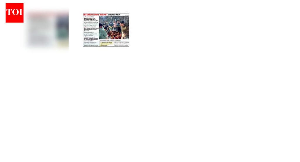 अंमली पदार्थांच्या व्यापारातून मिळणारे 4.5 कोटी रुपये डिजिटल करन्सीमध्ये रूपांतरित: पोलीस