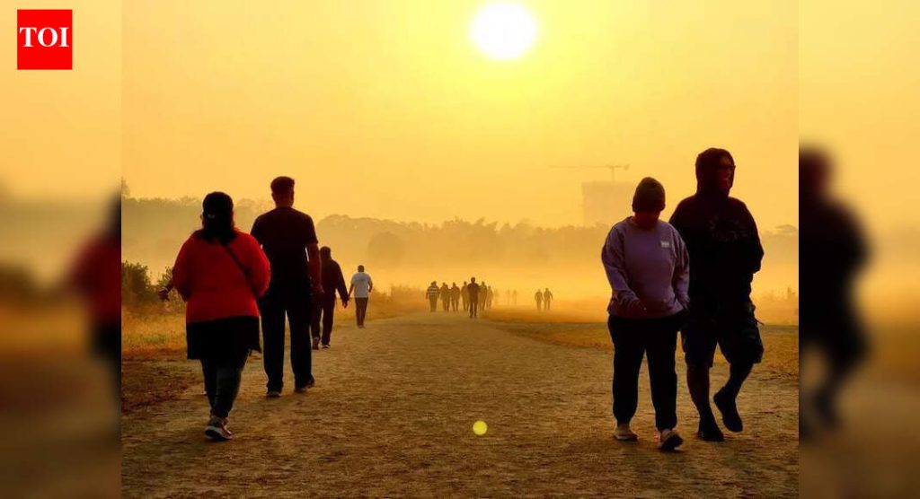 डिसेंबरच्या शेवटी किमान तापमानात वाढ होईल