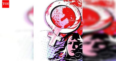 गेल्या वर्षीच्या तुलनेत २०२५ मध्ये बलात्कार, विनयभंगाच्या घटनांमध्ये किंचित घट