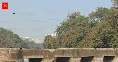 पिंपरी चिंचवड ग्रीन्सने पर्यावरणविषयक बाबी PCMC नगरसेवकांसोबत घेण्याचा निर्णय घेतला