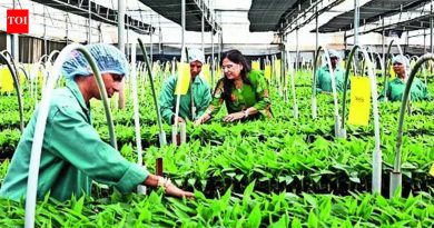 बायोटेक्नॉलॉजी तज्ञाद्वारे महिला आणि शेतकरी सक्षमीकरण | पुणे बातम्या