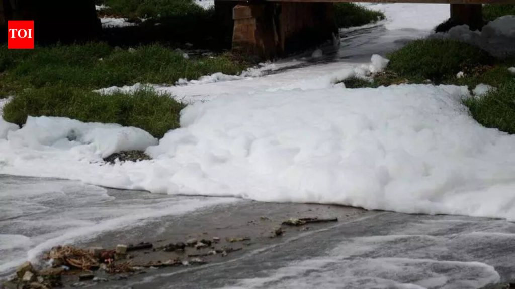 प्रक्रिया न केलेल्या सांडपाण्यामुळे मुळा-मुठा नद्यांमध्ये मोठ्या प्रमाणात फेस येत असल्याने एमपीसीबीने पीएमसीला नोटीस बजावली | पुणे बातम्या