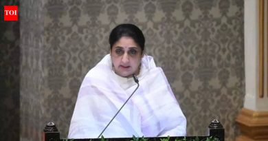 सुनेत्रा पवार यांच्या उपमुख्यमंत्रीपदी बढतीवर संमिश्र प्रतिक्रिया उमटल्या, नेटिझन्स म्हणतात ‘अगदी लवकर’ | पुणे बातम्या