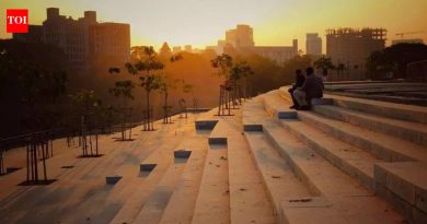 RFD प्रकल्पाच्या बाजूने बंड गार्डन-मुंढवा 100 फूट रस्ता पाडण्याच्या याचिकेत कोणतीही सक्ती नाही: NGT