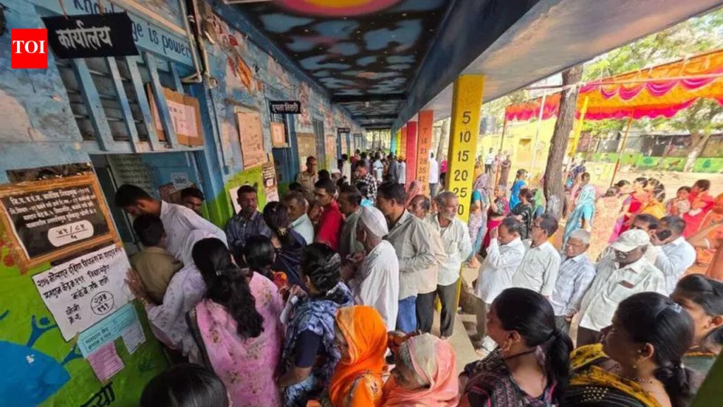 सर्वेक्षक, स्वयंसेवक किंवा विश्लेषक: SPPU विद्यार्थ्यांना निवडणुकीच्या हंगामात काम मिळते