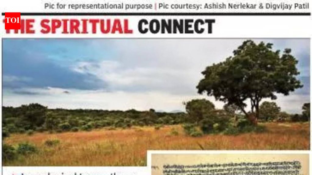 इकोलॉजिस्ट राज्याच्या लँडस्केप इतिहासाचे 750 वर्षांच्या मराठी साहित्यकृतींद्वारे मार्गदर्शन करतात