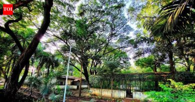 अमाडेने महसूल विभागाकडून आणखी कागदपत्रे मागितली आहेत, पुढील सुनावणी 3 मार्च रोजी