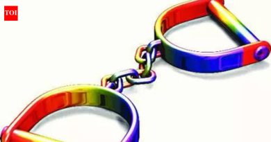 भोसरी एमआयडीसीत हिंसक टोळी हाणामारीनंतर सहा जण ताब्यात, तीन ताब्यात