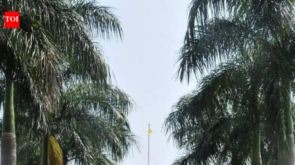 3 वर्षानंतर, 70 हून अधिक M.Ed विद्यार्थी पदवी प्रमाणपत्रांच्या प्रतीक्षेत आहेत