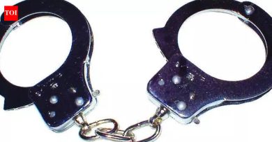 भोसरीतील रहिवाशांनी पकडलेल्या चोरट्यावर १७ गुन्हे दाखल आहेत