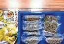 पुणे कस्टम्सने बँकॉकहून आलेल्या एअर इंडिया एक्स्प्रेसच्या विमानाच्या शौचालयातून ७४.५ लाख किमतीचे हायड्रोपोनिक तण जप्त केले.