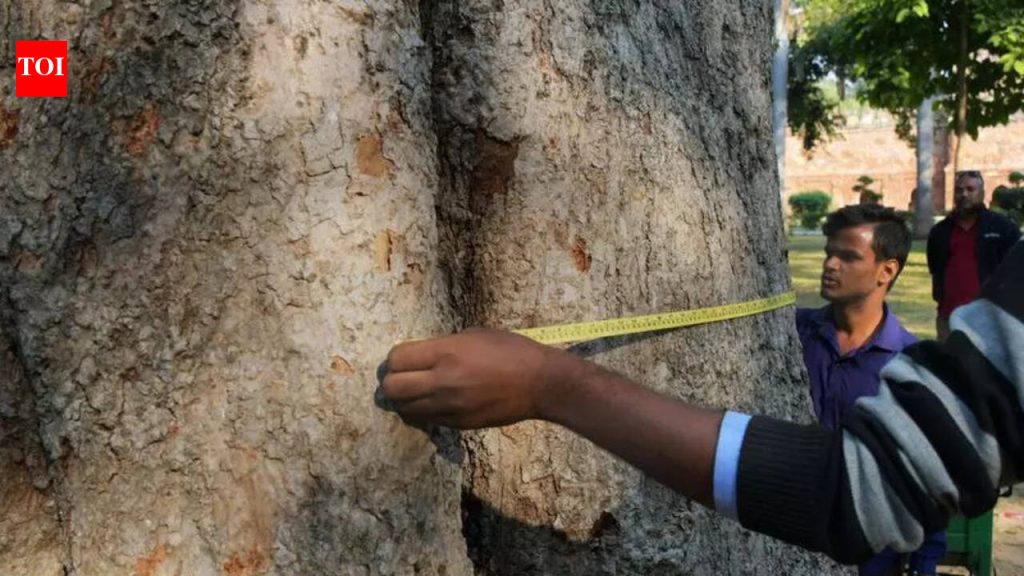 जादा आकारणीच्या आक्षेपानंतर पीएमसीने वृक्षगणनेचे कंत्राट थांबवले