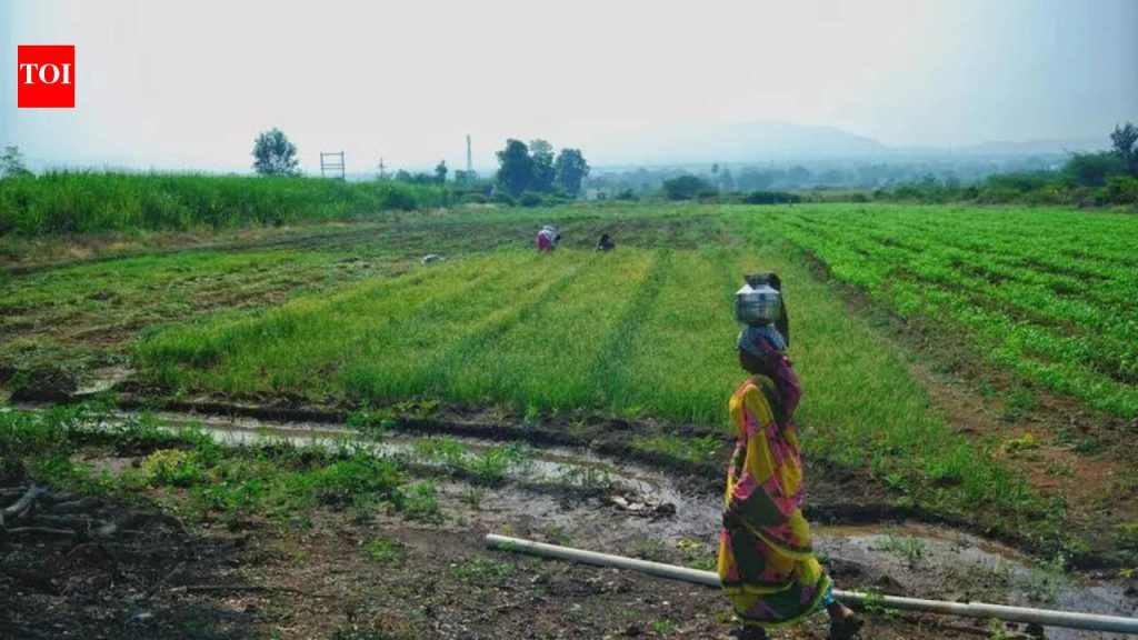 पुरंदर विमानतळ भूसंपादनासाठी MIDC 10 दिवसांत आर्थिक कर्ज देणार आहे