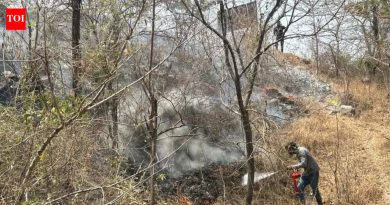 मानवनिर्मित आगीमुळे पुण्याची हिरवीगार जागा जळून खाक झाली