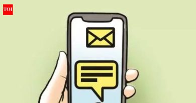 क्रेडिट कार्डच्या फसवणुकीत पीएमसी लिपिकाचे साडेतीन लाखांचे नुकसान