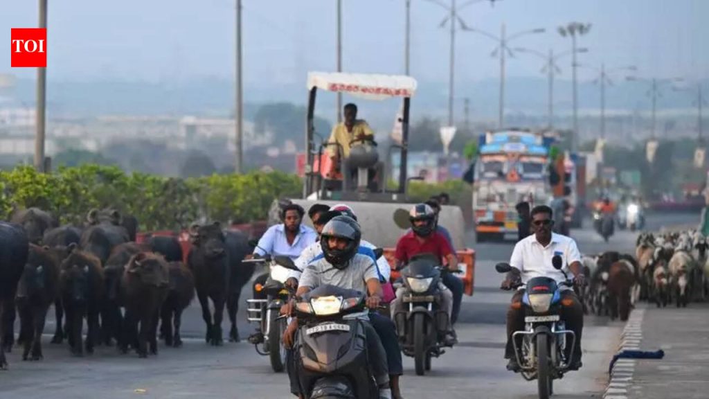 कोरेगाव पार्क कल्याणीनगर, मुंढवा भागात वाहतूक पोलिसांनी रस्ता सुरक्षा मोहीम सुरू केली