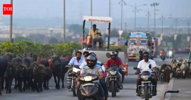 कोरेगाव पार्क कल्याणीनगर, मुंढवा भागात वाहतूक पोलिसांनी रस्ता सुरक्षा मोहीम सुरू केली