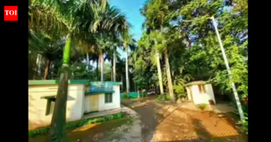 मुंढवा चूक टाळण्यासाठी पद्धतशीर सुधारणांचे पॅनेल