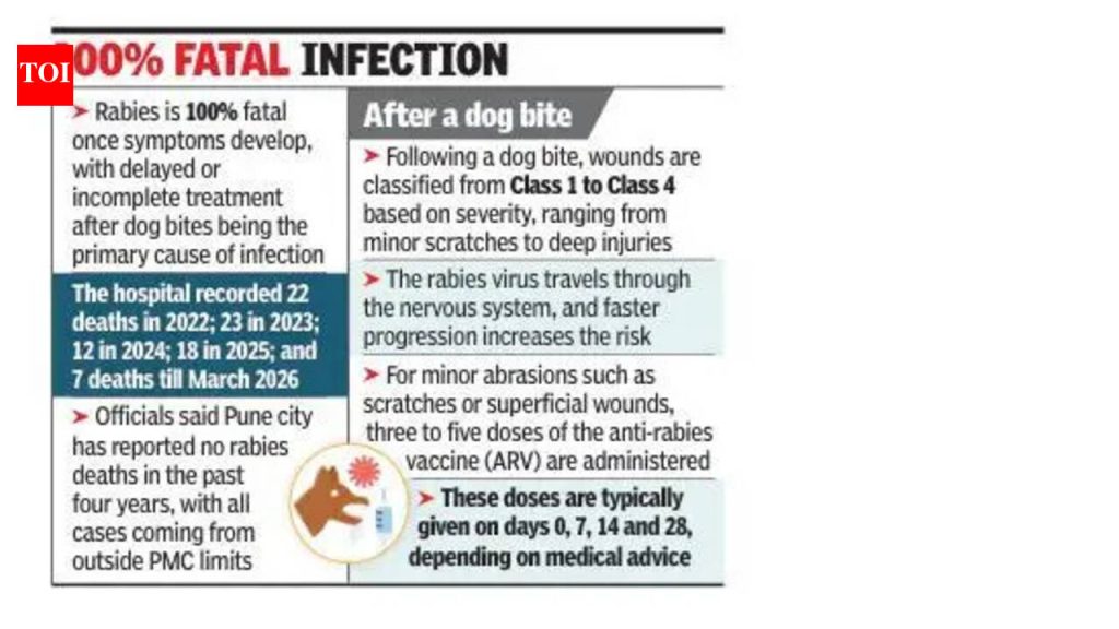 22 पासून नायडू हॉस्पीटलमध्ये 82 रेबीज प्रकरणे ग्रामीण आरोग्य सेवेतील मोठी कमतरता दर्शवितात