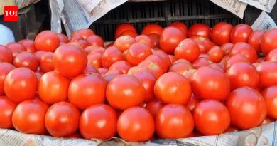 गॅस टंचाईमुळे हॉस्पिटॅलिटी क्षेत्राला फटका बसला, टोमॅटोच्या किमती घसरल्या