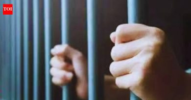 पुण्यात 3 वर्षांपेक्षा जास्त वयाच्या भाचीवर वारंवार बलात्कार केल्याप्रकरणी पुण्यातील तांत्रिकाला 25 वर्षांची शिक्षा