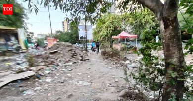 PMC एका महिन्यात बाणेर-पाषाण लिंक रोडचे काम पुन्हा सुरू करणार आहे