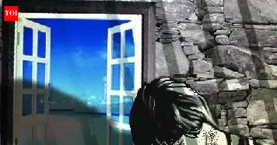 एका महिन्यात spl किशोर पोलिस युनिट्स स्थापन करा: राज्य पॅनेल